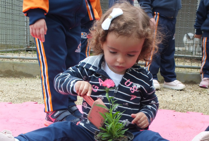 Período Complementar